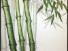 Bamboo